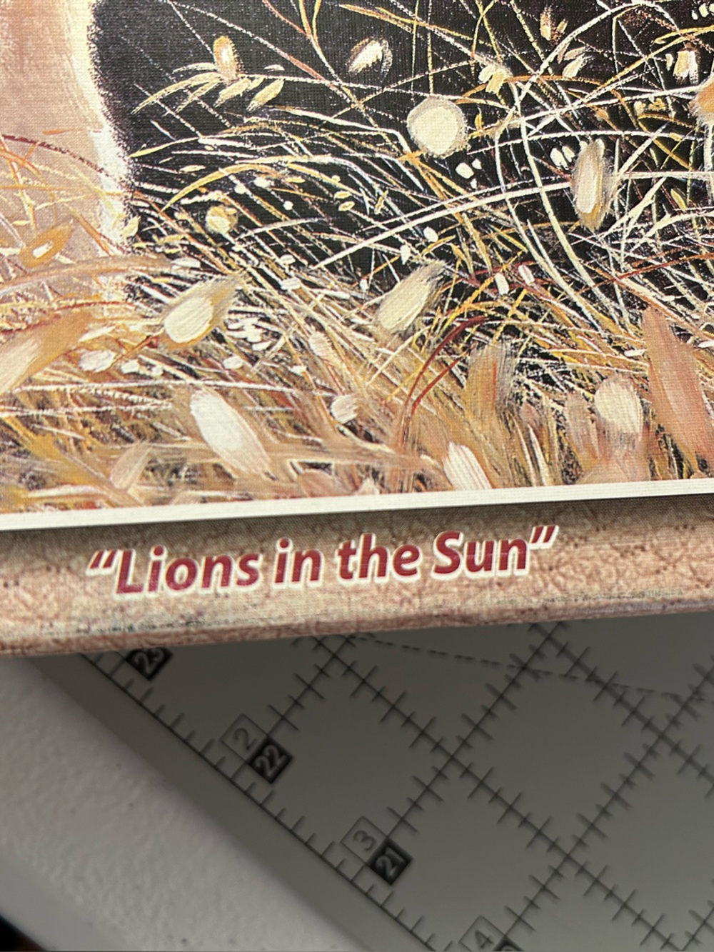 “Lions in the Sun” 1000 piece Puzzle - Picture 4 of 4